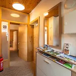 Waldhaus Iii Διαμέρισμα Mayrhofen